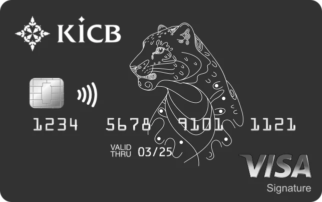 Visa Signature