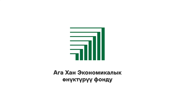Ага Хан экономикалык өнүктүрүү фонду